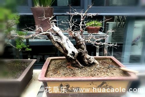 农业自然日产无码av在线观看专业专注，技术领先
